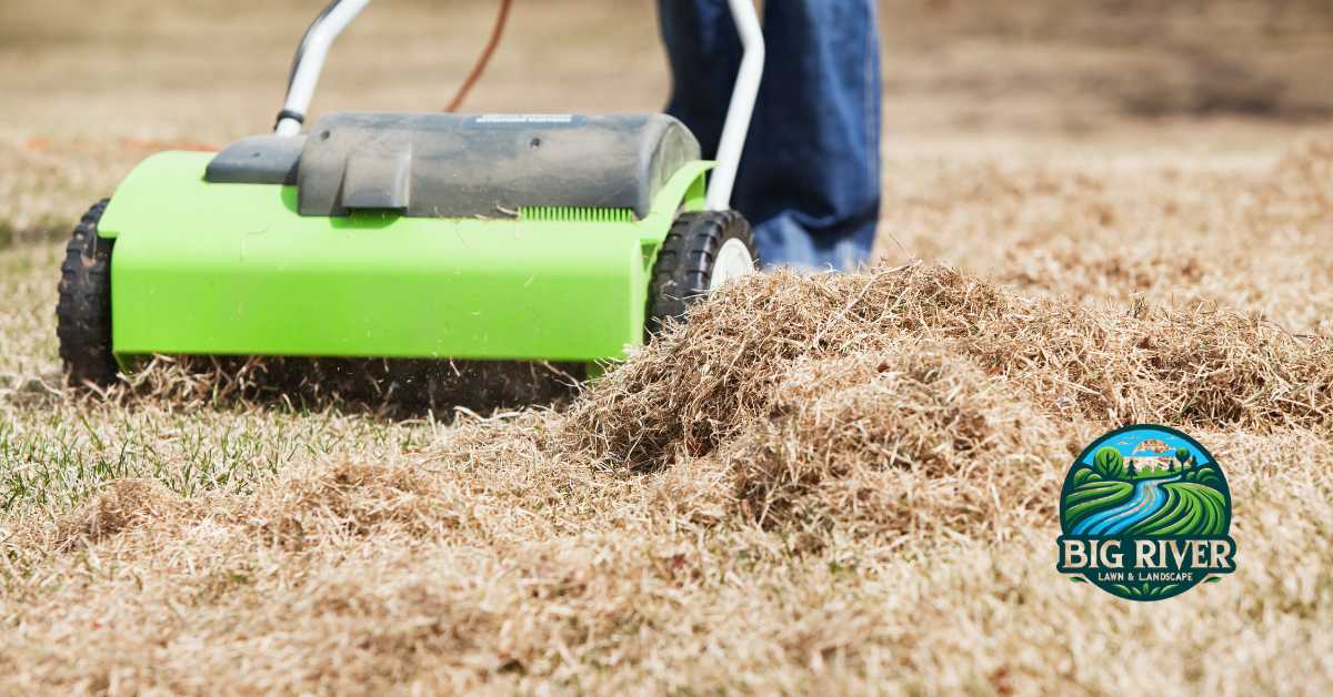 Dethatching for lawn