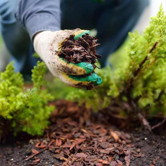 mulch application