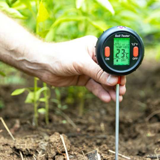 soil temperature