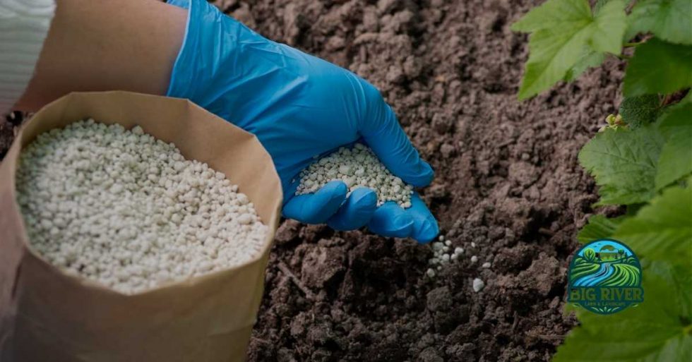 Comprehensive guide when to fertilize your lawn