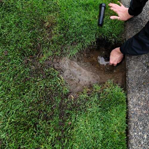 Sprinkler cleaning