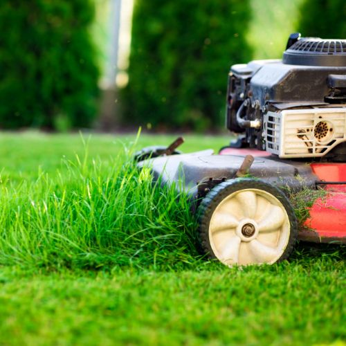 grass cutting with mower