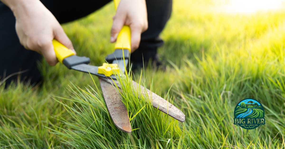 how to cut lawn