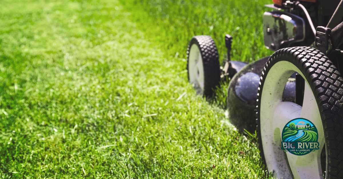 how to mow a lawn