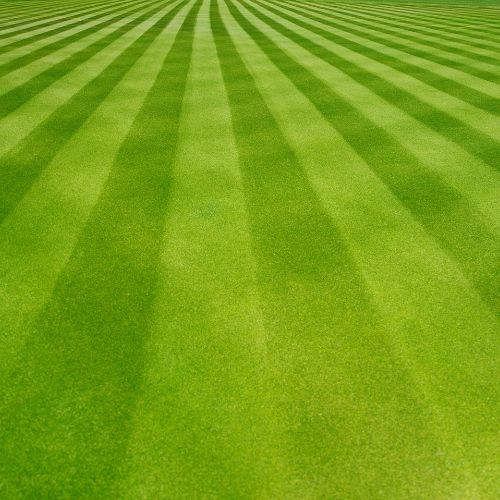 lawn mowing pattern