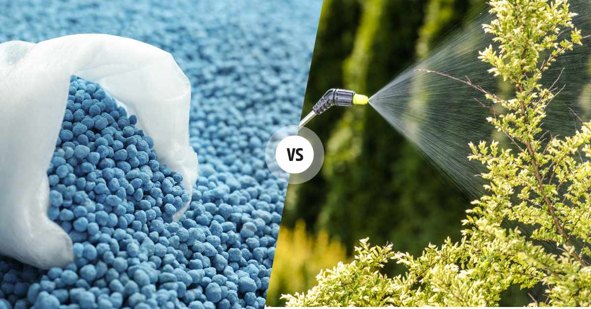 liquid vs granular fertilizer