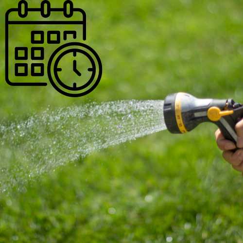 watering schedule