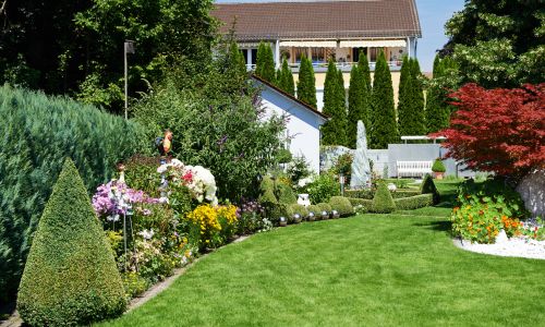 Eye catchy lawn and landscaping