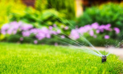 Need od watering lawn