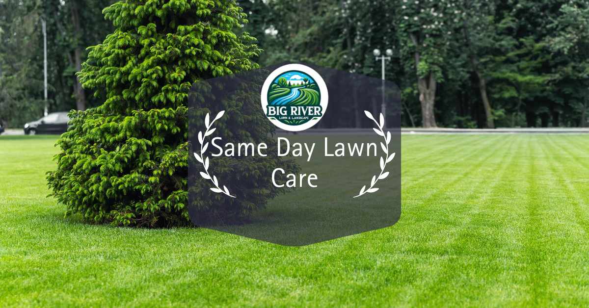 Same Day Lawn Care