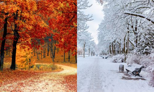 fall and winter