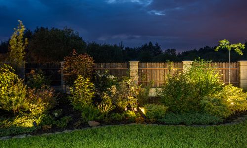 lush garden with light