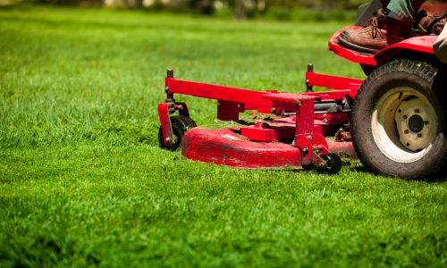 mowing and trimming