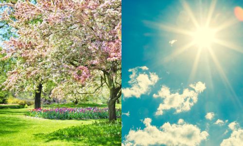 spring and summer