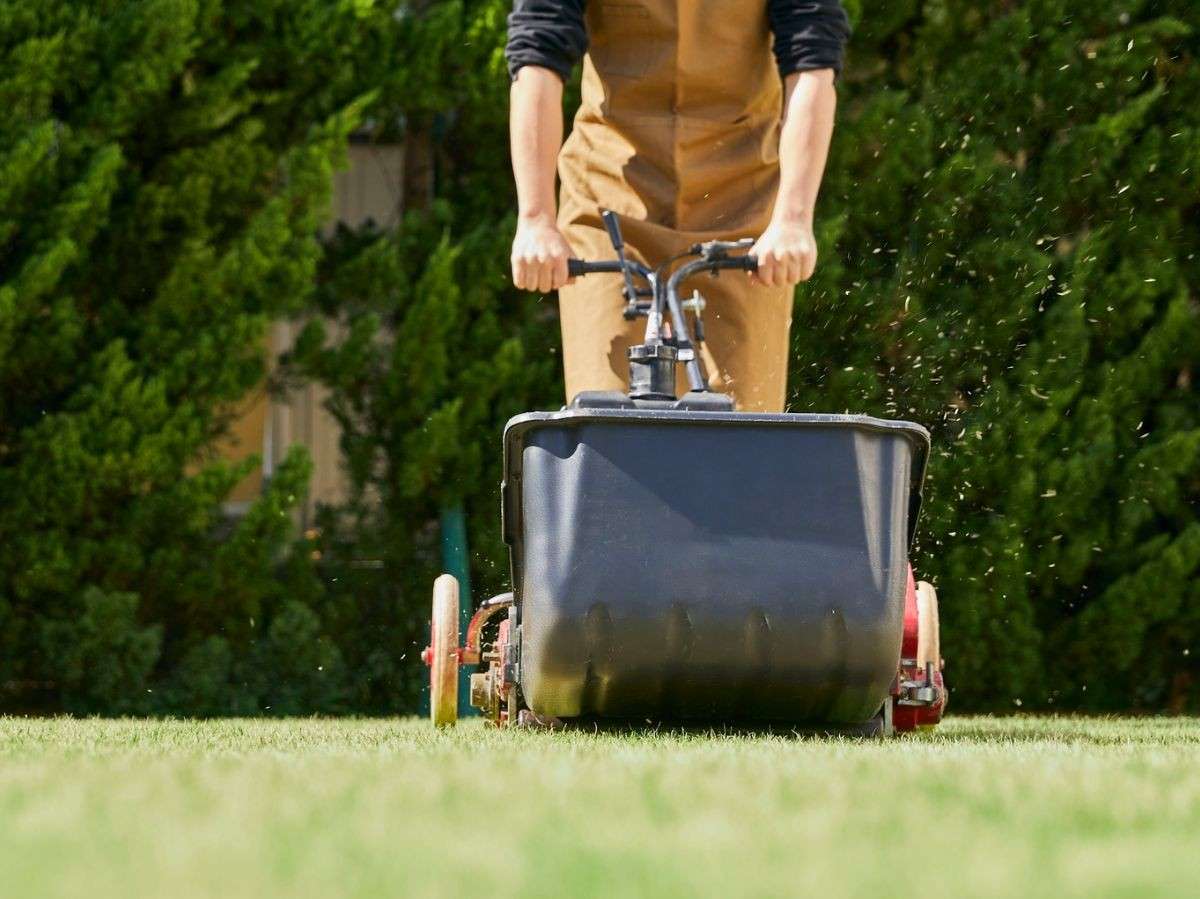 fertilization service in milltownnj fertilization service in milltownnj