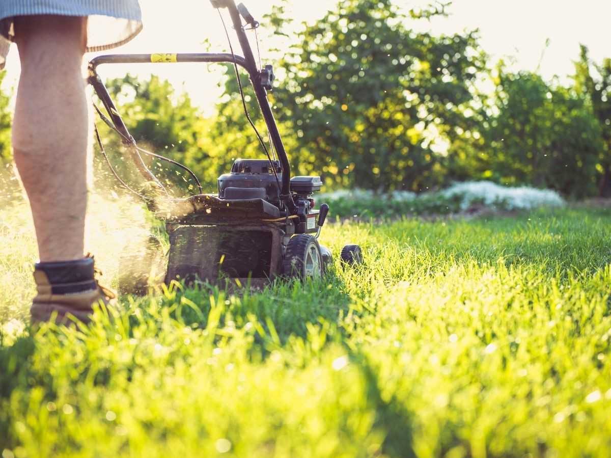 lawn mowing service in milltownnj